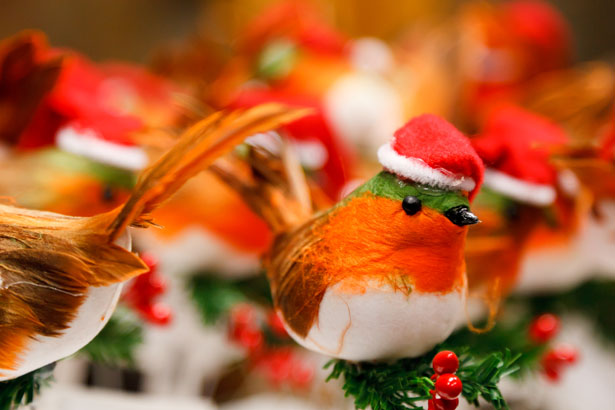 ‘Tis the Season for Citizen Science: Celebrating 117 Years of Christmas Bird Counts
