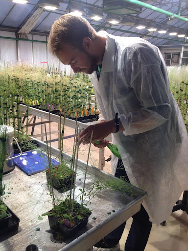 An American Graduate Student in France