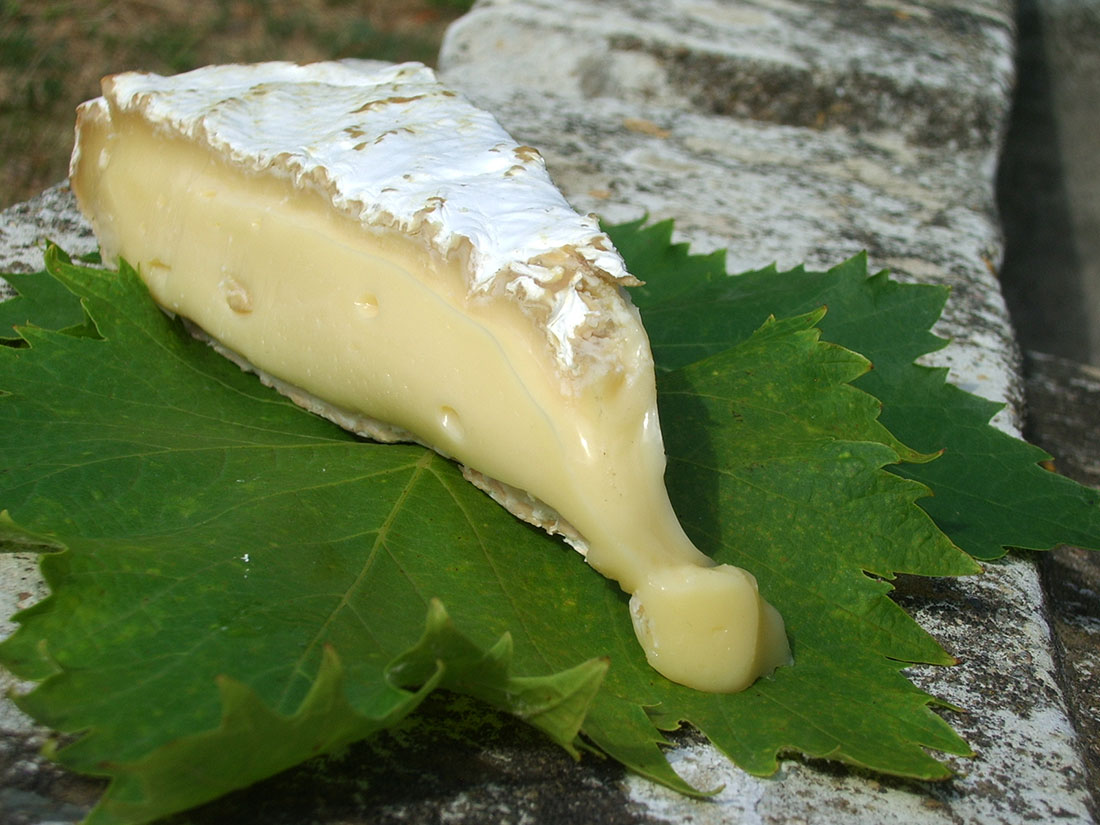 The Unseen World – On Cheese?