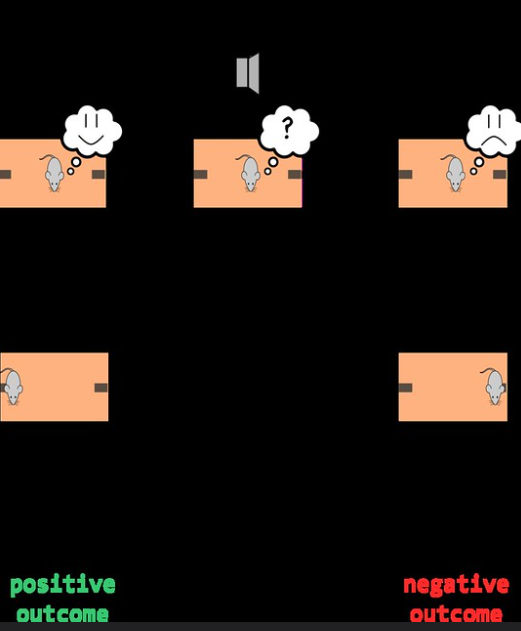 You May Say I’m Biased, But I’m Not the Only One