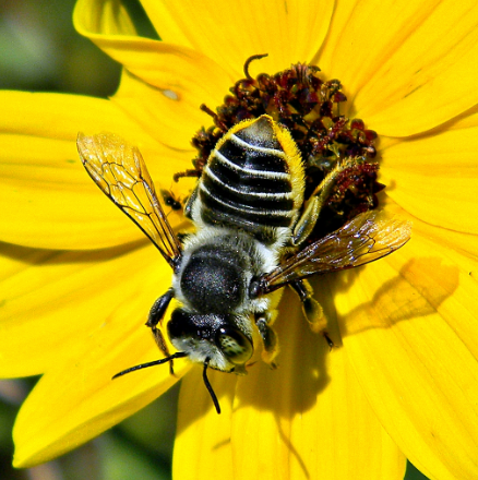 Finding the Perfect Partner