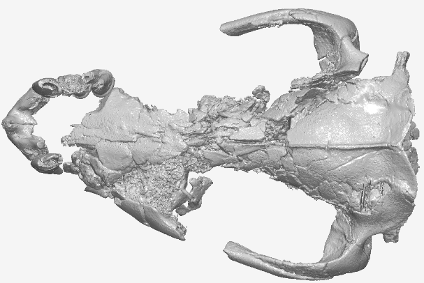 Really Old Fossils, Really Strong Predators, and Cool New Tech