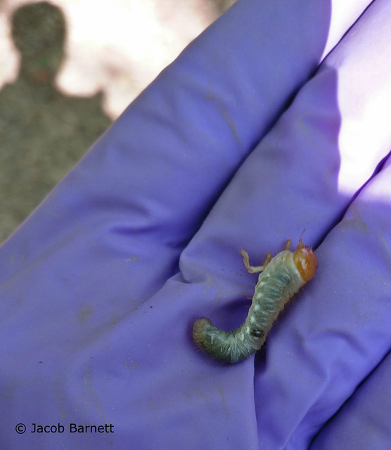 Secrets of the Soil: Searching for Stories from a Warming Climate