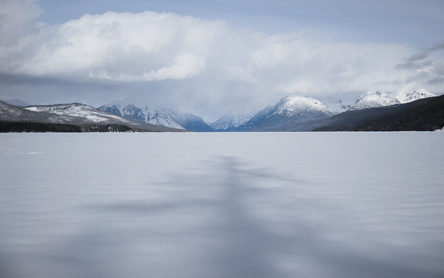 Where do fish go in winter?