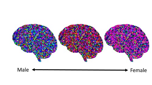 Should I say sex or gender? Pt. 2