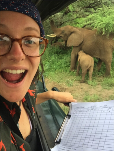Triumphant in Tanzania: The Story of My First Wild Elephant Sighting