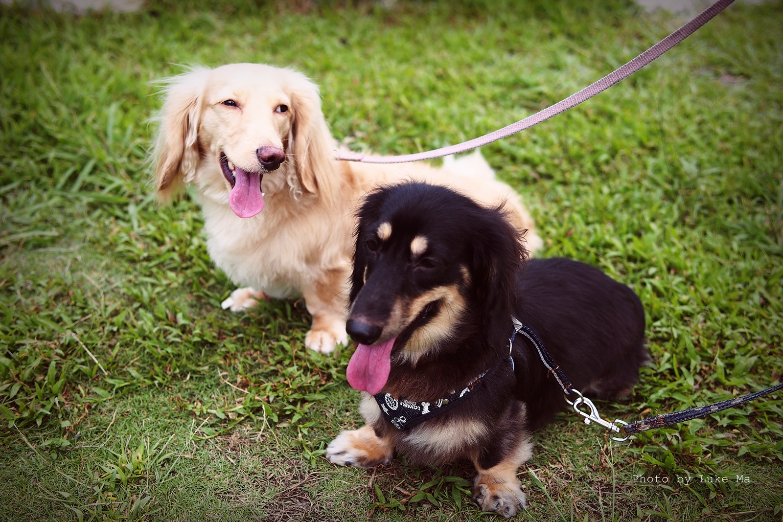 What Do You Do When It’s Too Hot to Move?