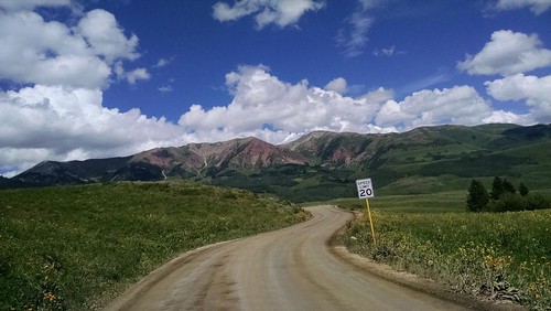 Field station memories