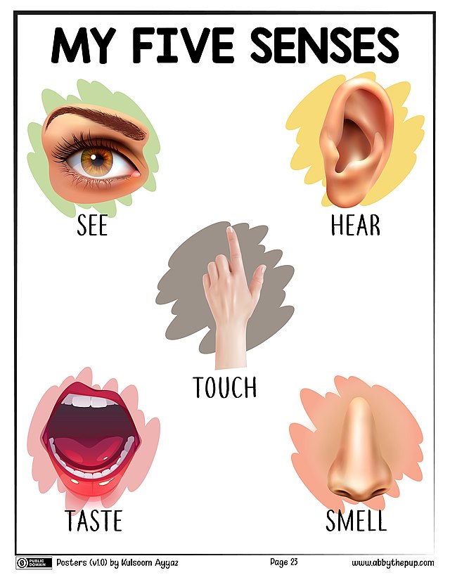 How to expand your senses by reading a blog post?