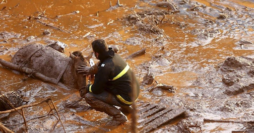 Drinking from the rivers and eating from the forests