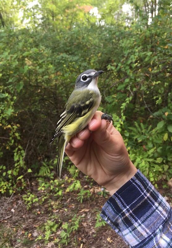 A Day In the Life of a Bird Nerd