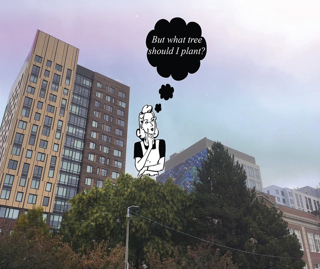 So Many Choices… The Challenge of Selecting Trees for the Urban Environment