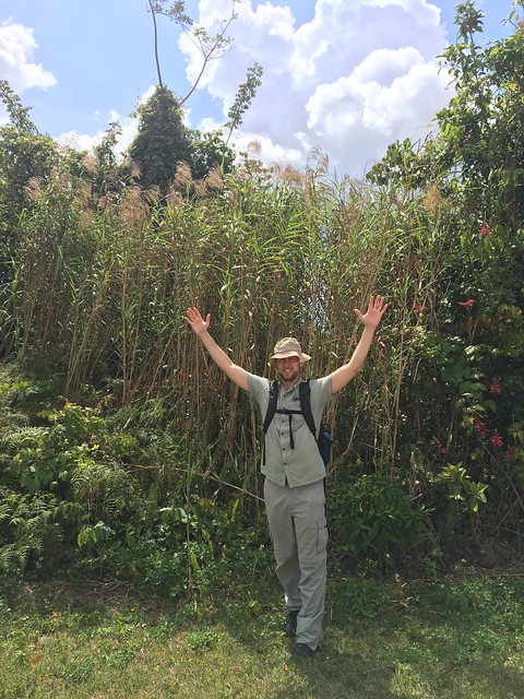 The Tale of A Conspicuous Invader and Inconspicuous Field Sites