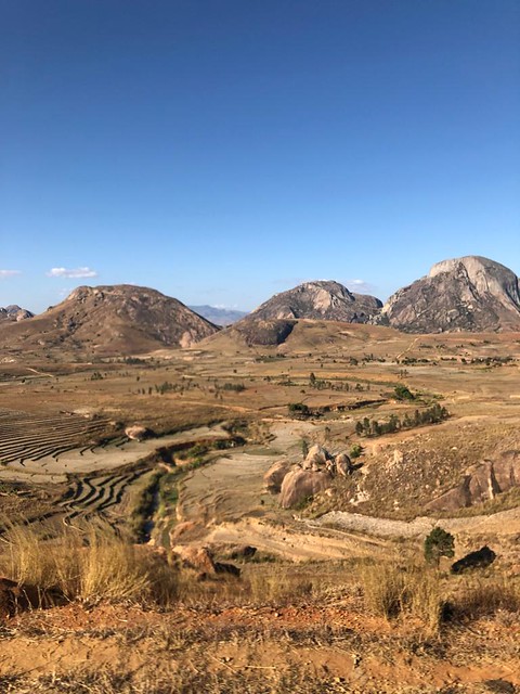 The Travelling Field Biologist