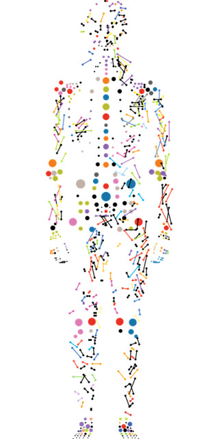 Genetic Diversity and Its Impact on Disease Treatment
