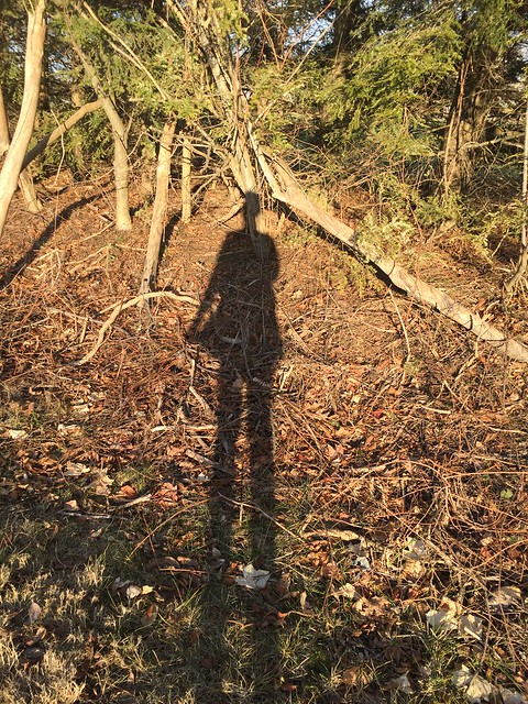 Nurturing and celebrating our offline selves